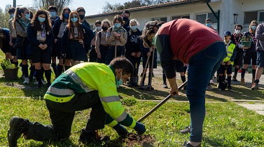 Agrupamentos de escuteiros de Anta e Espinho plantaram 150 árvores pelo concelho