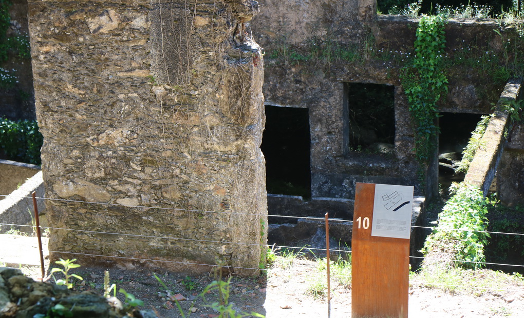 Estação Arqueológica Castro de Ovil - visita após 2ª fase requalificação #5