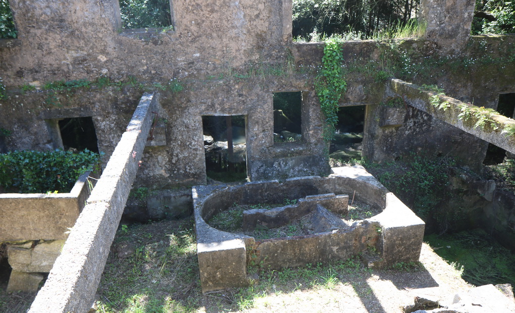 Estação Arqueológica Castro de Ovil - visita após 2ª fase requalificação #8