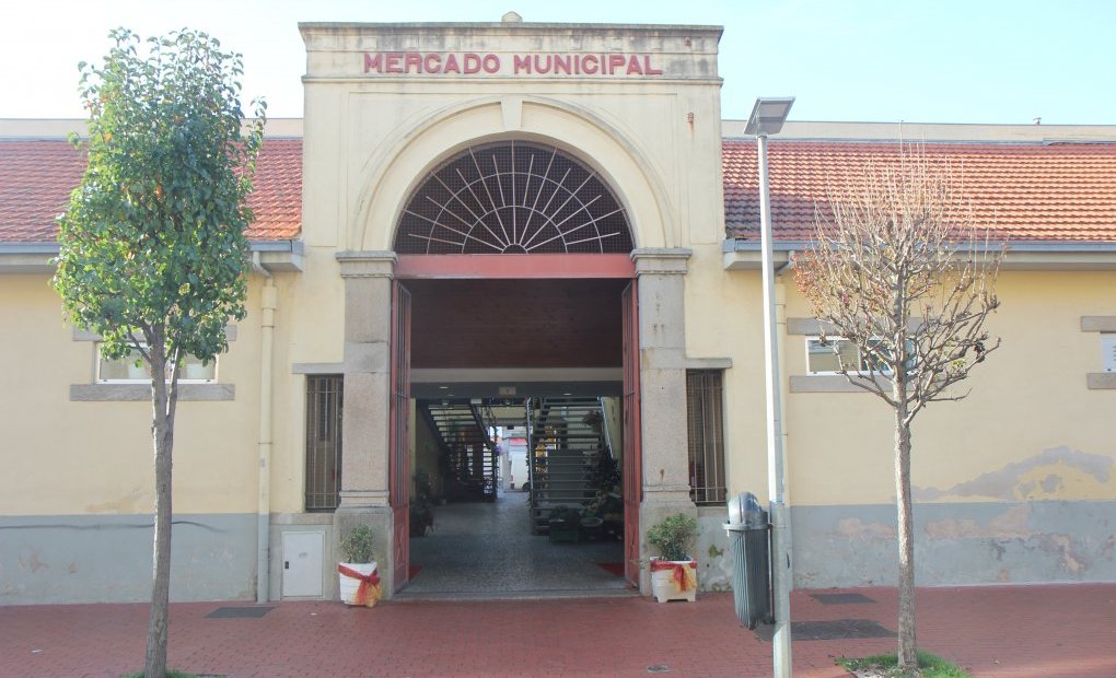 Mercado Municipal #2
