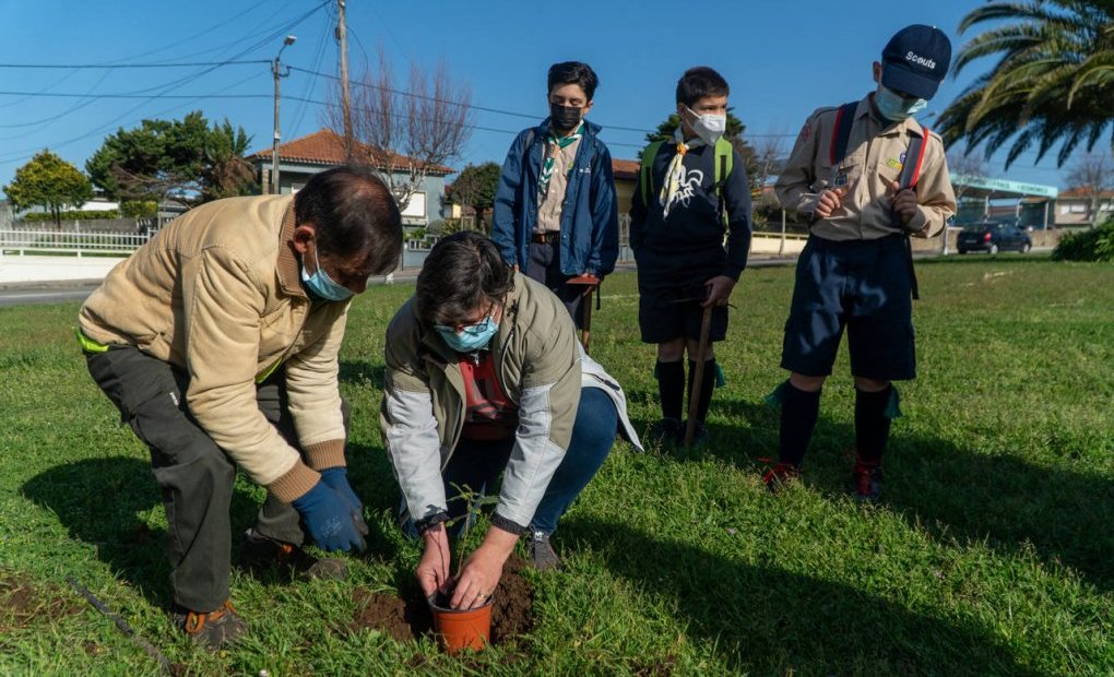 Agrupamentos de escuteiros de Anta e Espinho plantaram 150 árvores pelo concelho #3