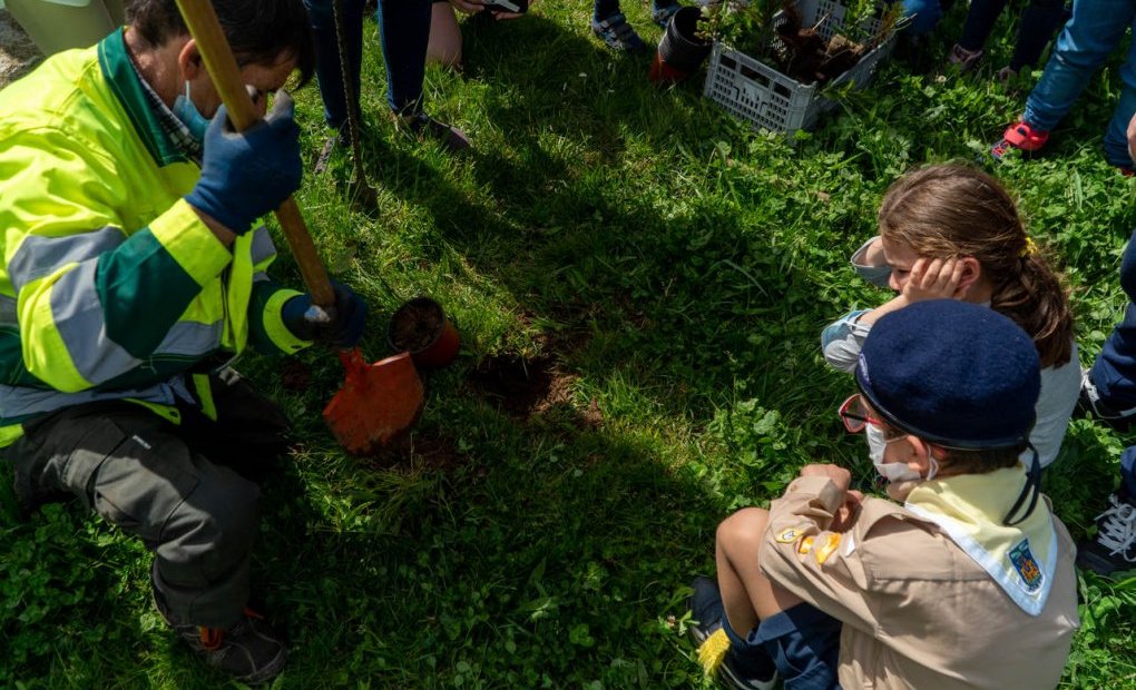 Agrupamentos de escuteiros de Anta e Espinho plantaram 150 árvores pelo concelho #7