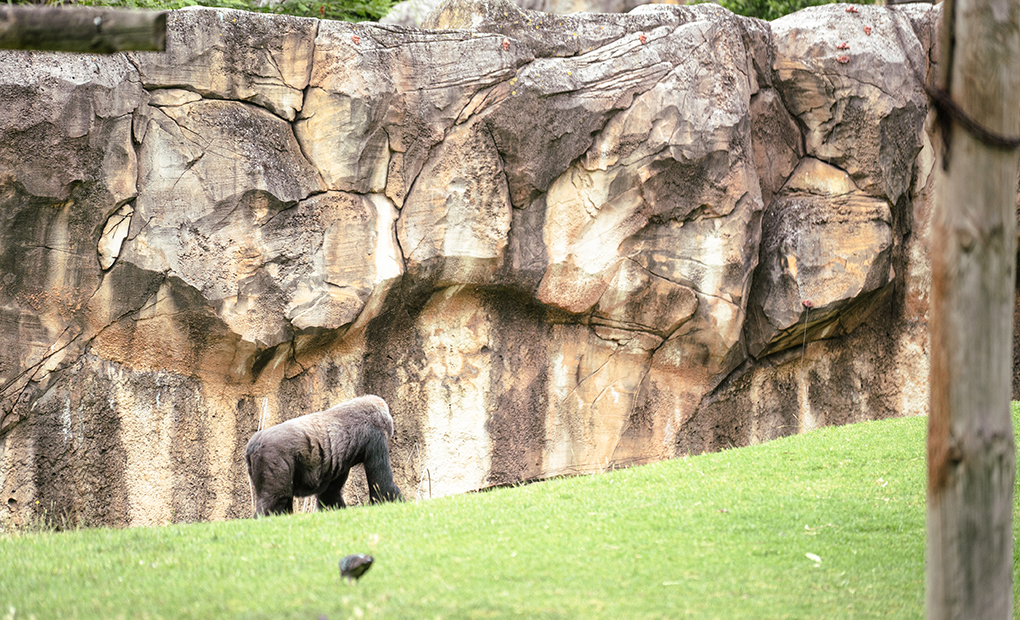Autarquia levou finalistas do 4º ano ao Zoo de Lisboa #7